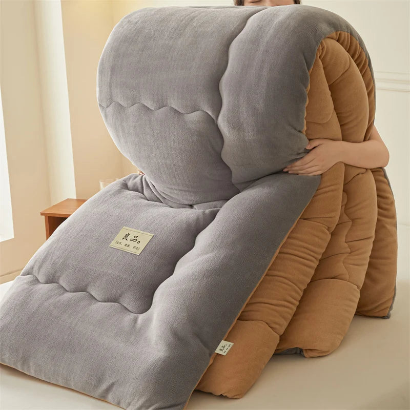Thickened Milk Velvet Winter Warm Blanket for Bed Queen Size Soft Flannel Quilt Double-Sided Plush Single Double Thick Comforter