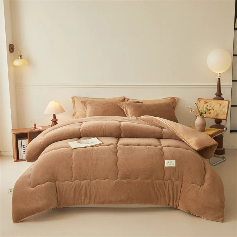 Thickened Milk Velvet Winter Warm Blanket for Bed Queen Size Soft Flannel Quilt Double-Sided Plush Single Double Thick Comforter