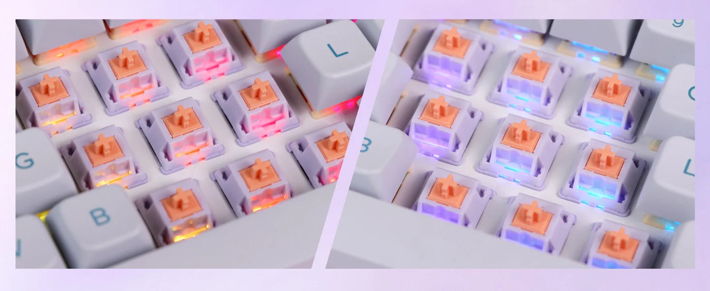 30 Pieces EPOMAKER Wisteria Tactile 46gf 5-Pin Factory Lubed Switch for Hot Swappable Mechanical Gaming Keyboard