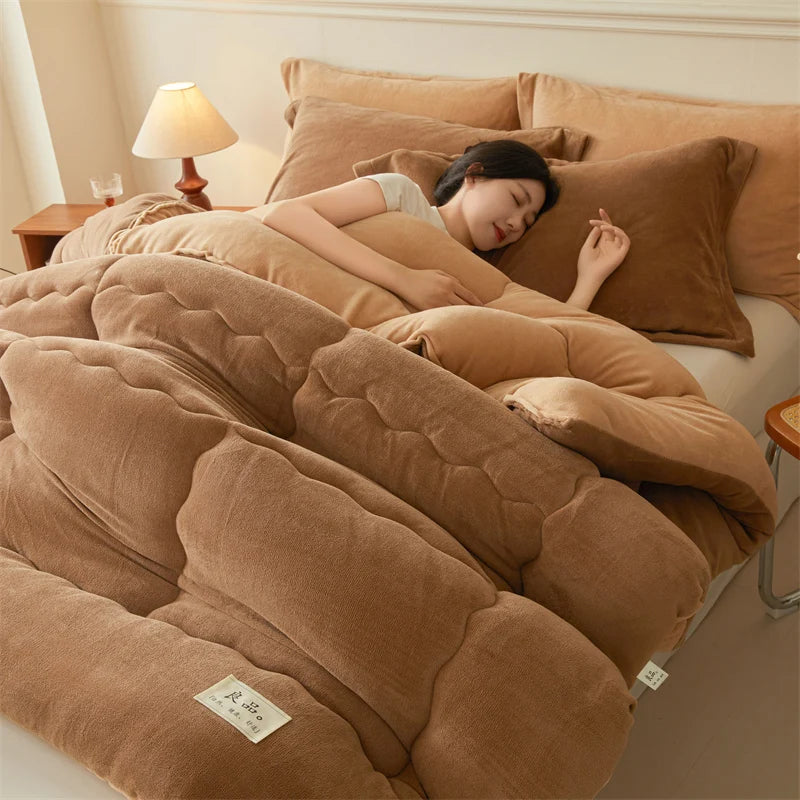 Thickened Milk Velvet Winter Warm Blanket for Bed Queen Size Soft Flannel Quilt Double-Sided Plush Single Double Thick Comforter