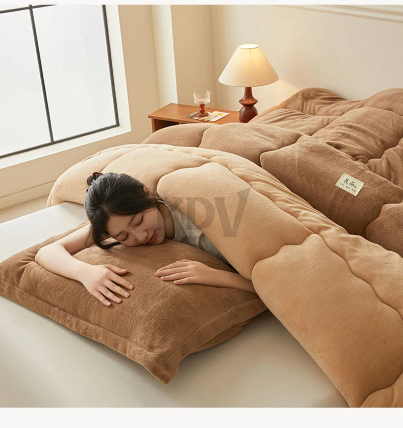 Thickened Milk Velvet Winter Warm Blanket for Bed Queen Size Soft Flannel Quilt Double-Sided Plush Single Double Thick Comforter