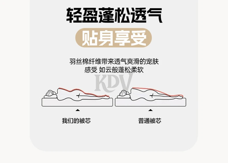 Thickened Milk Velvet Winter Warm Blanket for Bed Queen Size Soft Flannel Quilt Double-Sided Plush Single Double Thick Comforter