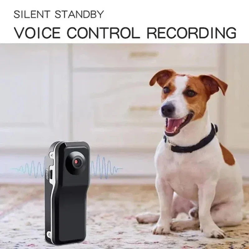 Xiaomi MIJIA HD Mini DV Sports Camera Body Camcorder Mount Portable Video Record Nanny Security Cam Small Sports Car DVR Webcam
