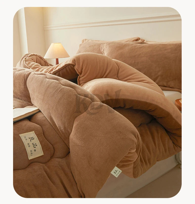 Thickened Milk Velvet Winter Warm Blanket for Bed Queen Size Soft Flannel Quilt Double-Sided Plush Single Double Thick Comforter