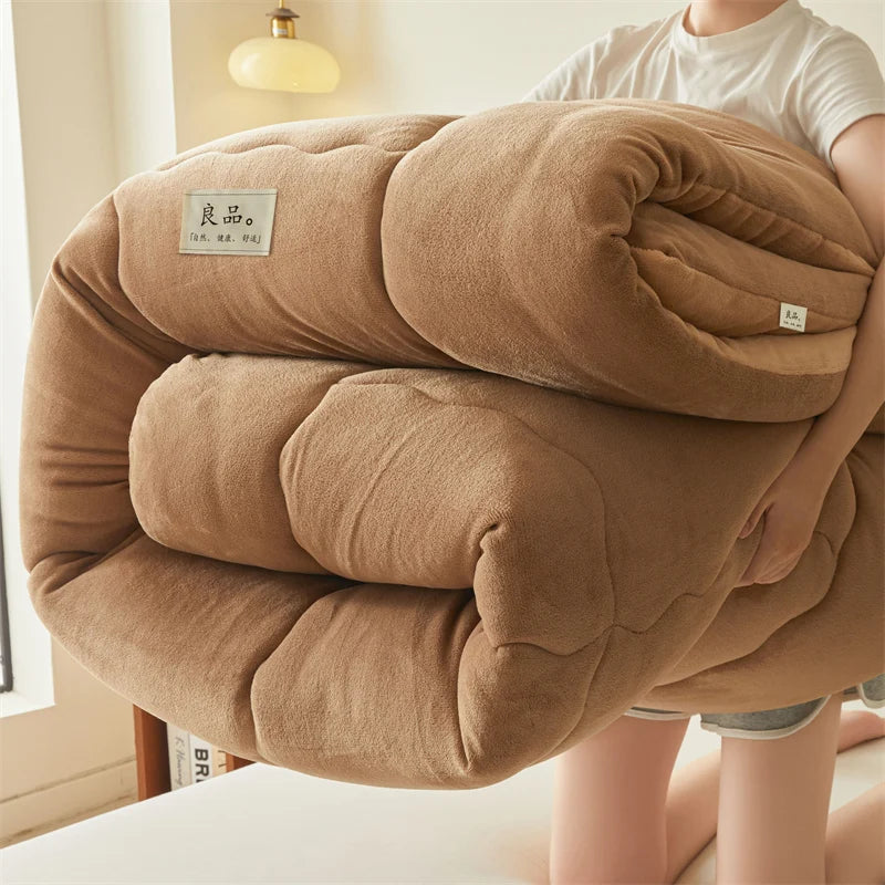 Thickened Milk Velvet Winter Warm Blanket for Bed Queen Size Soft Flannel Quilt Double-Sided Plush Single Double Thick Comforter